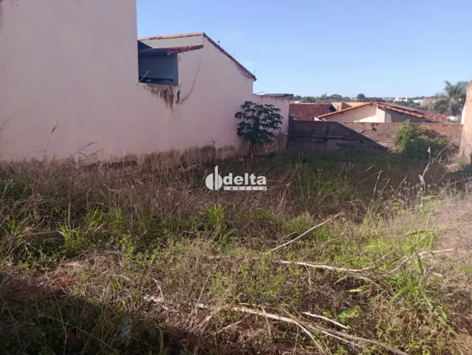 Terreno disponível para venda no bairro Jardim Patrícia em Uberlândia-MG