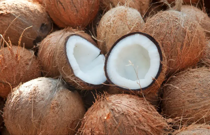 Coco seco