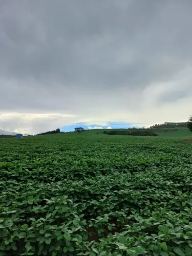FAZENDA À VENDA - SACRAMENTO/MG