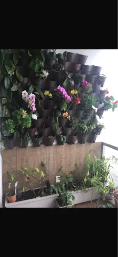 Parede verde linda e prática