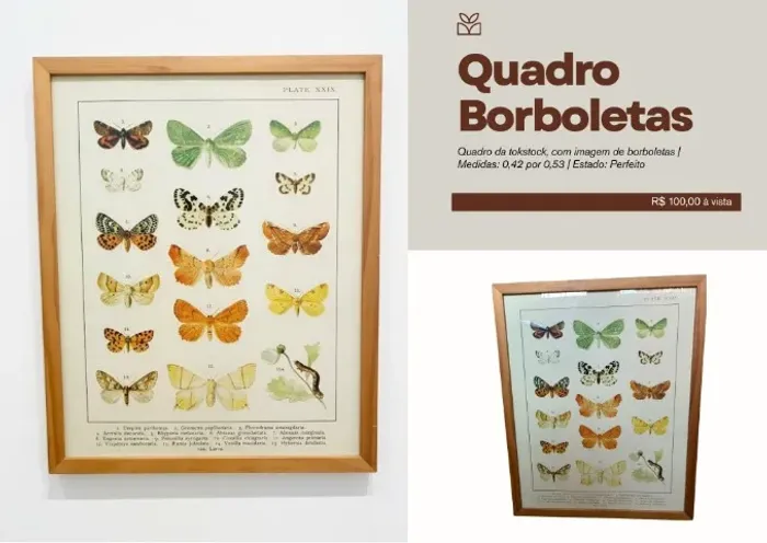 Quadro de borboletas - TokStock