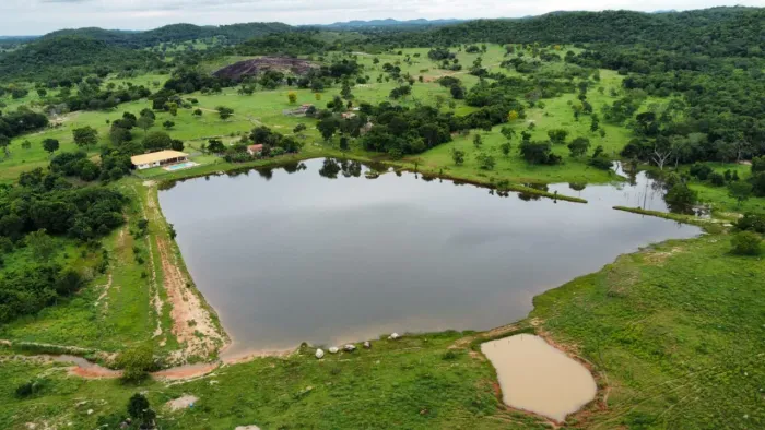 Fazenda - Faina
