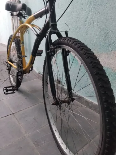 Bicicleta caicara