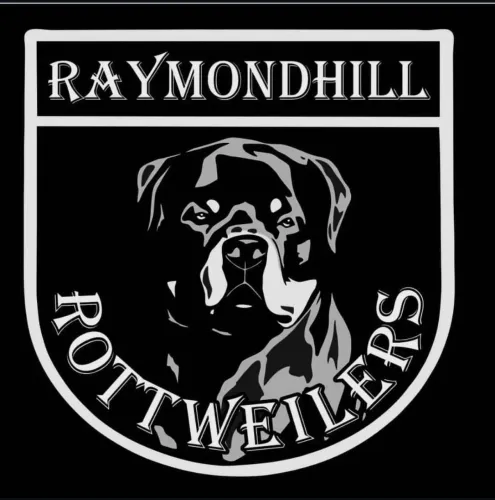 Rottweiler filhotes e adultos