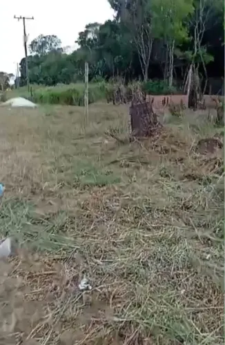 Vendo um terreno na alça viária,de frente pra pista,na entrada do trevo do peteca
