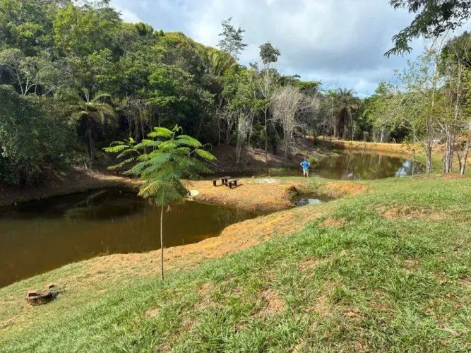 Sítio à Venda em Cururupe com Nascente e 1.148m²