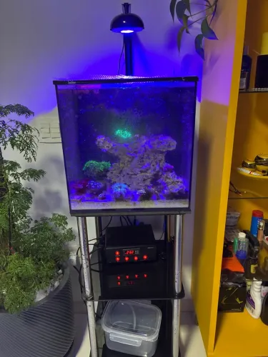 Aquário marinho completo