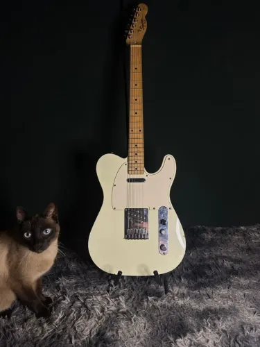 Guitarra Squier Affinity Telecaster