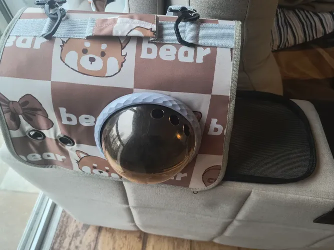 Bolsa de carregar pet ( cachorro ou gato)
