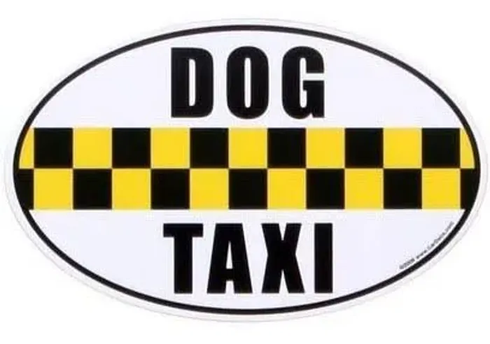 Pet taxi