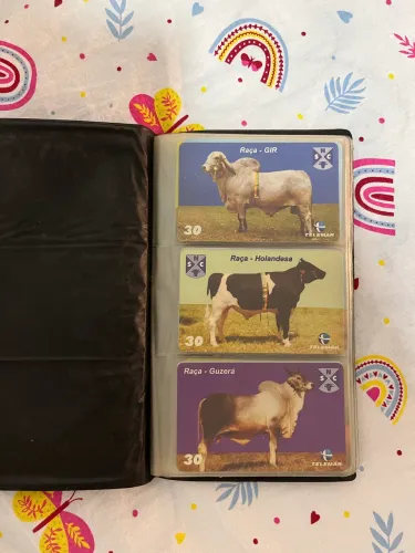 Cartões telefônicos (relíquia) 