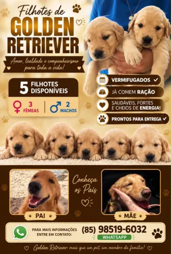 GOLDEN RETRIEVER 