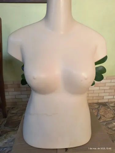 Manequim Busto Plus Size Feminino 