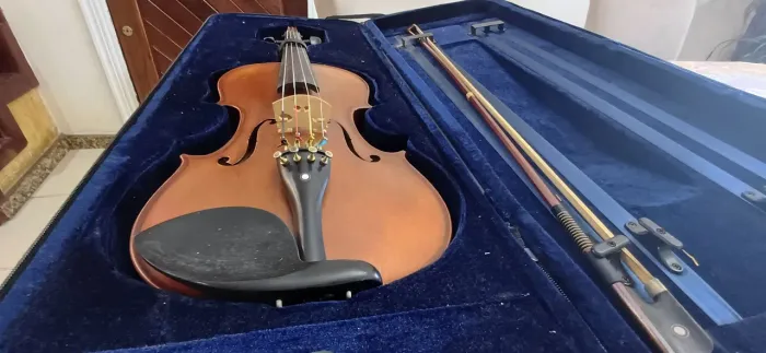 Oportunidade Viola 4/4 Cantelli
