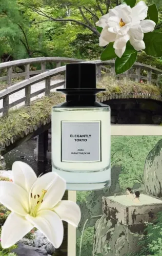 Perfume Zara Elegantly Tokio de 100ml - Dupe Woodsage & Seasalt da Jo Malone