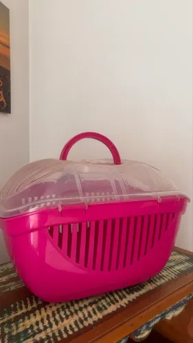 Caixa de transporte pet (gato/cachorro)