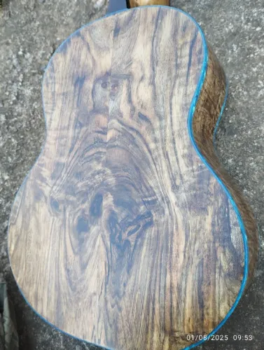 Cavaco De Castro novo 