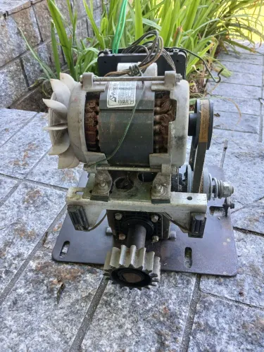 motor 220v  peccinin