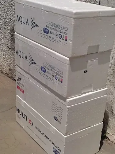 Caixaa térmicas isopor grande