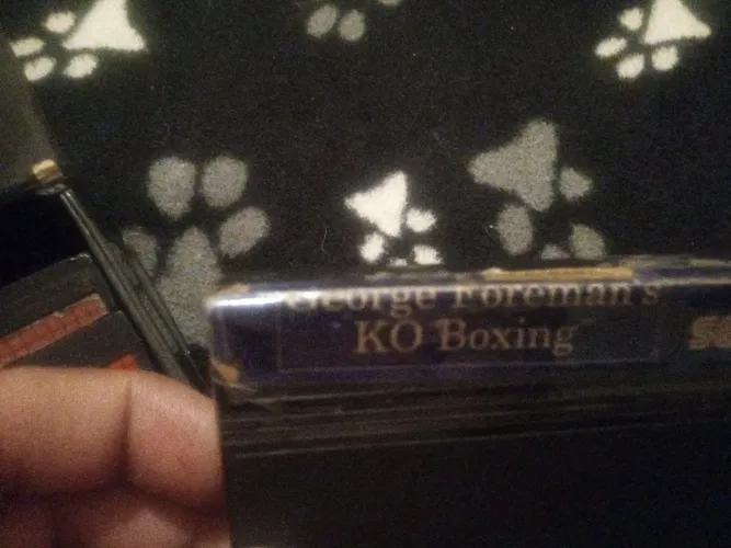 George foreman s master system 