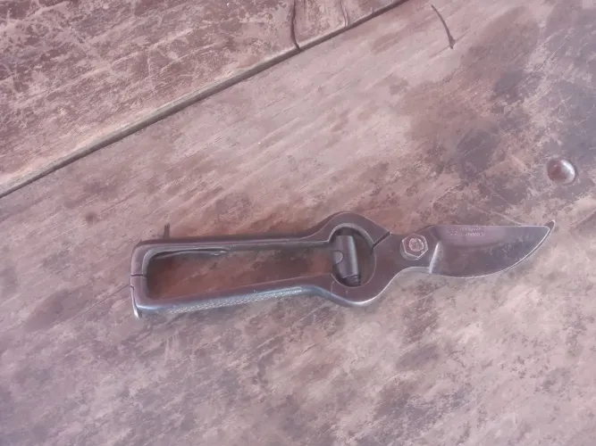 Tesoura de poda antiga alemã 