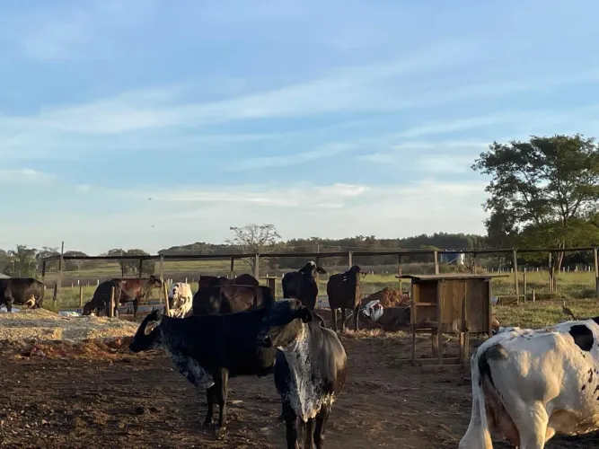 Ótima chácara em Itaberaí 