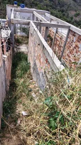 Meio Lote Castanheira Santa Luzia