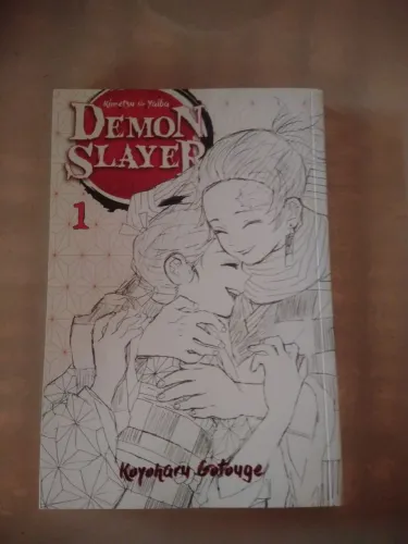 Demon Slayer Vol 1