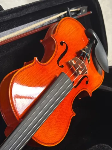 Violino EAGLE