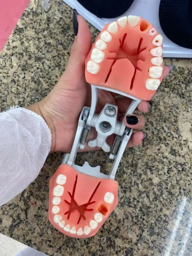 Manequim de endodontia 