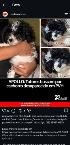 Procura-se cachorro perdido