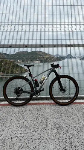 Bike Rava Rage Carbon Prateada T17