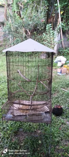 Viveiro para aves 
