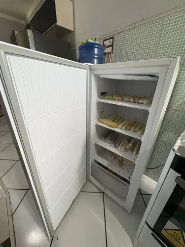 VENDO FREEZER INVERTER ELETROLUX COM 10 MESES DE USO.