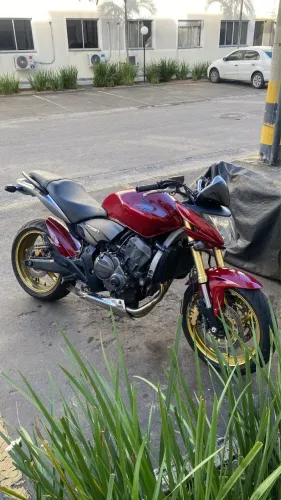 Hornet 2008 