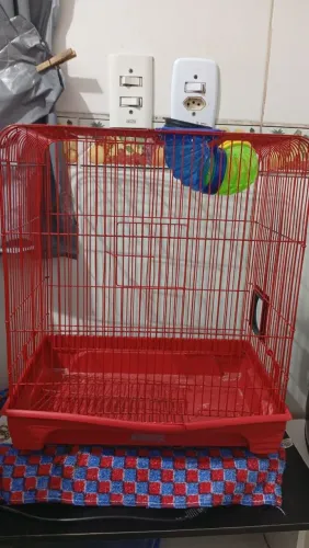 Vendo gaiola para porquinho da índio/hamester