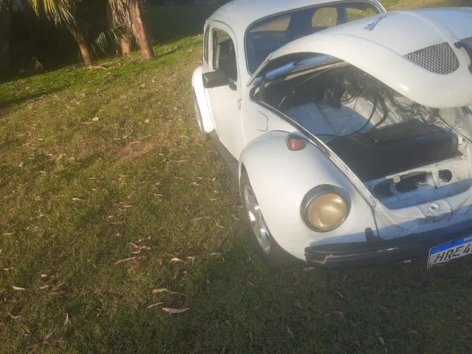 Volkswagen Fusca Fusca (gasolina) 1982