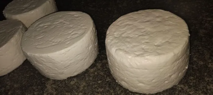 Vende-se queijo ?