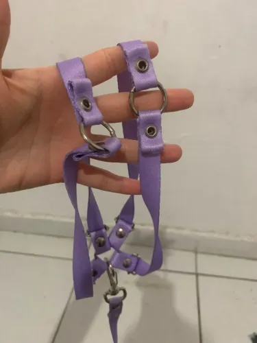 coleira de cachorro e gato peitoral lilas