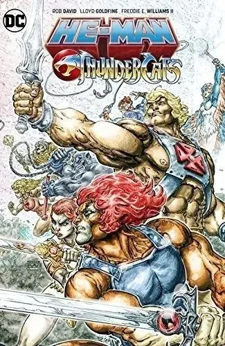 Graphic Novel He-man Thundercats Dc 2017 (importada)