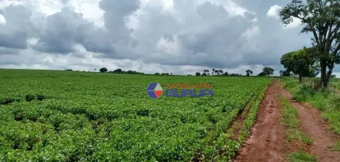Fazenda com 1 dormitório à venda, 2662000 m² por R$ 30.000.000,00 - Zona Rural - Itamogi/M