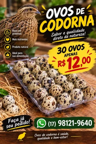 Ovos de codorna
