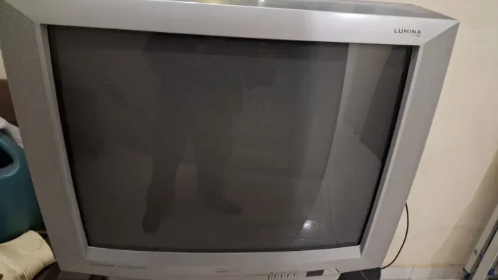 TV Semp 29 polegadas - Doação