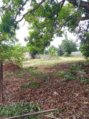 Lote três Marias 500 metrôs com asfalto