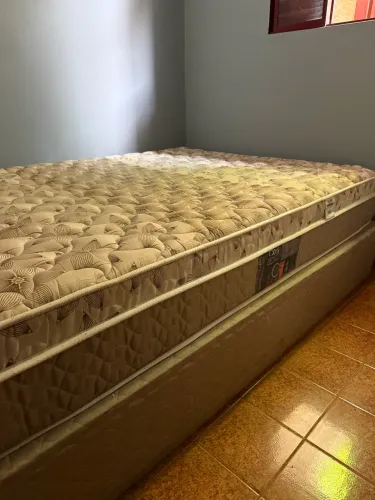 Cama Box Casal (1,38 X 1,88) Castor Class - Molas Ensacadas Pocket (Usada)