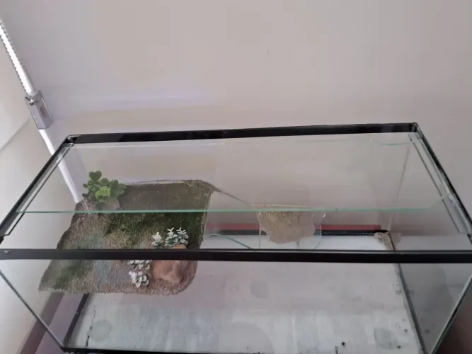 Aquaterrario otimo preço!