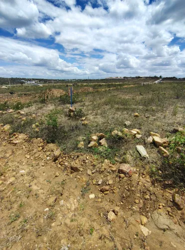 Lote à venda em Conceição do Coité