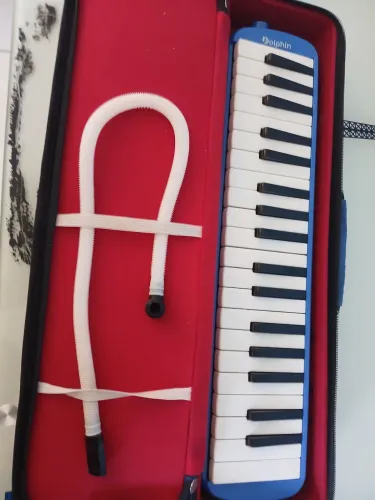 Escaloneta musical