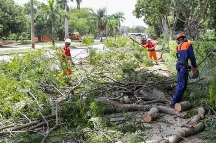 Reparos de jardins, aparador de grama e galhos 