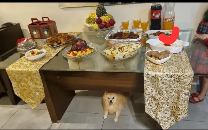 Mesa de jantar 6 lugares